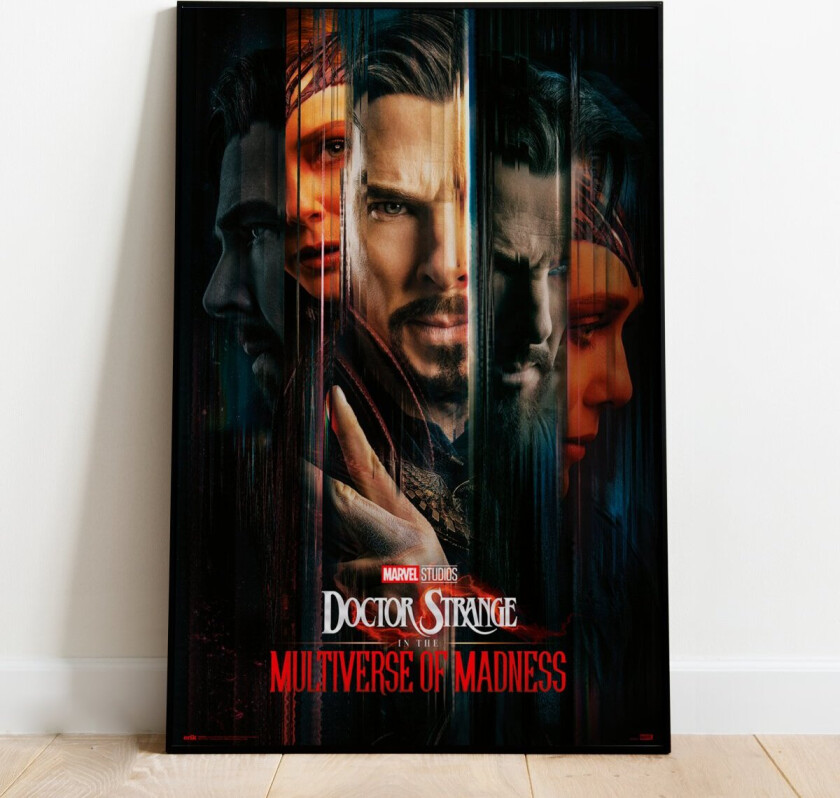 Maxiplakat Multiverse Doctors