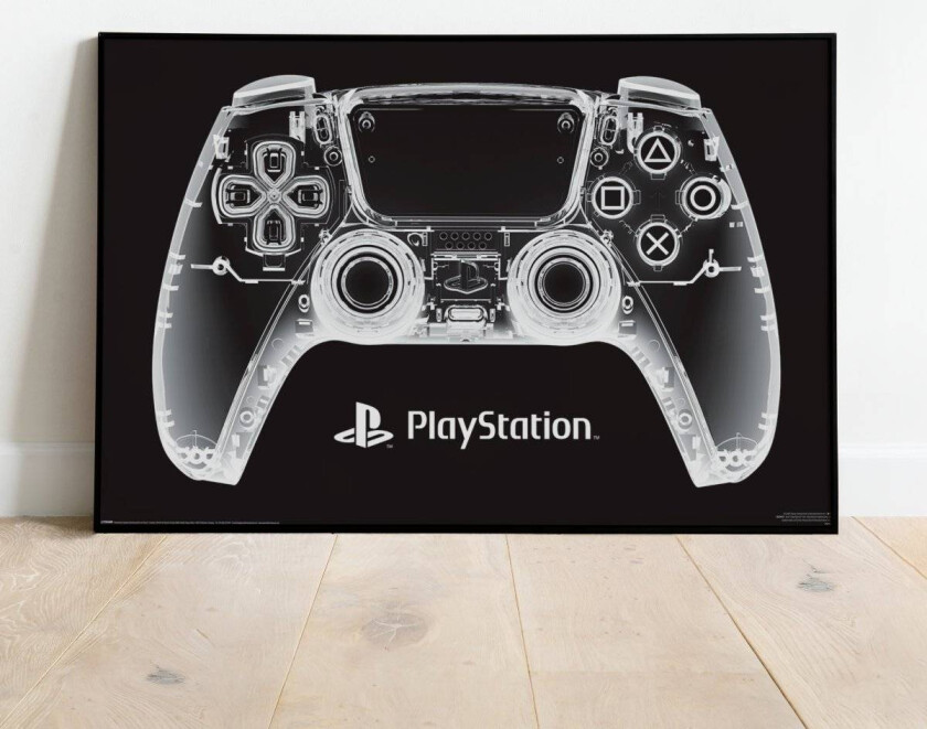 PlayStation Maxiplakat X-Ray Pad
