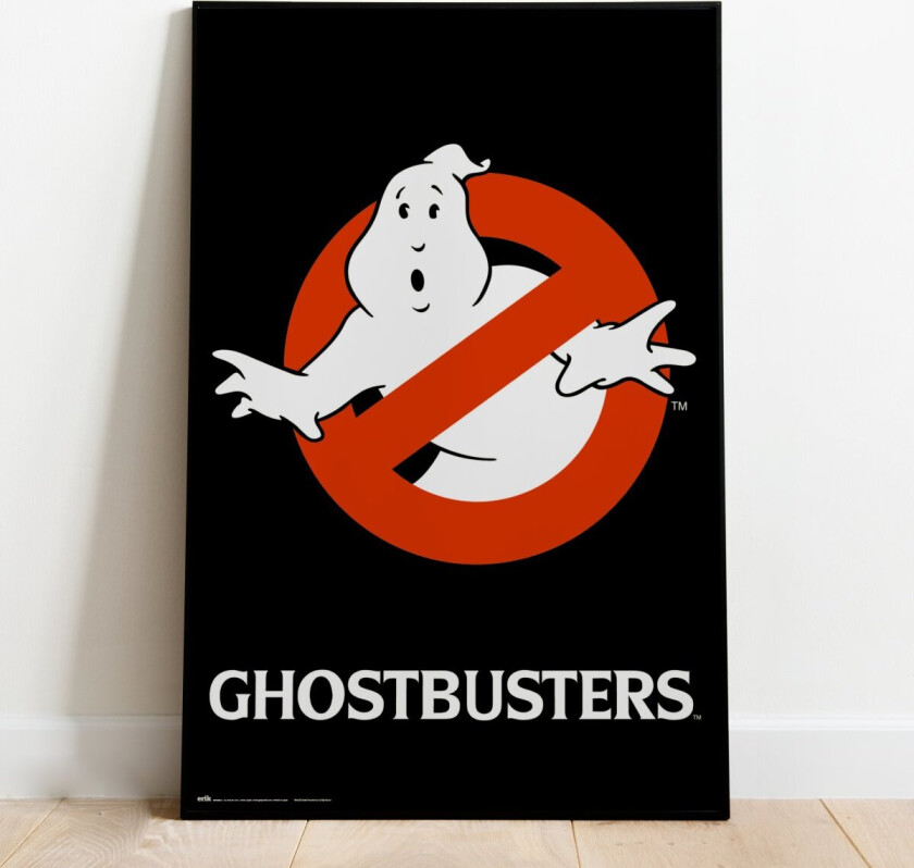 Maxiplakat