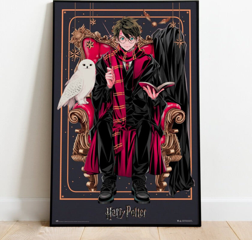 Maxiplakat Wizard Dynasty Harry