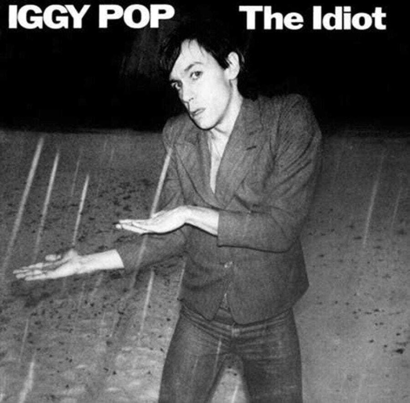 Iggy Pop - The Idiot (2Cd Dlx)