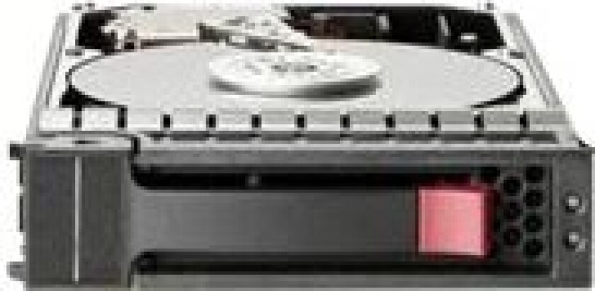 - Harddisk - 300 GB - hot-swap - SAS - 15000 rpm
