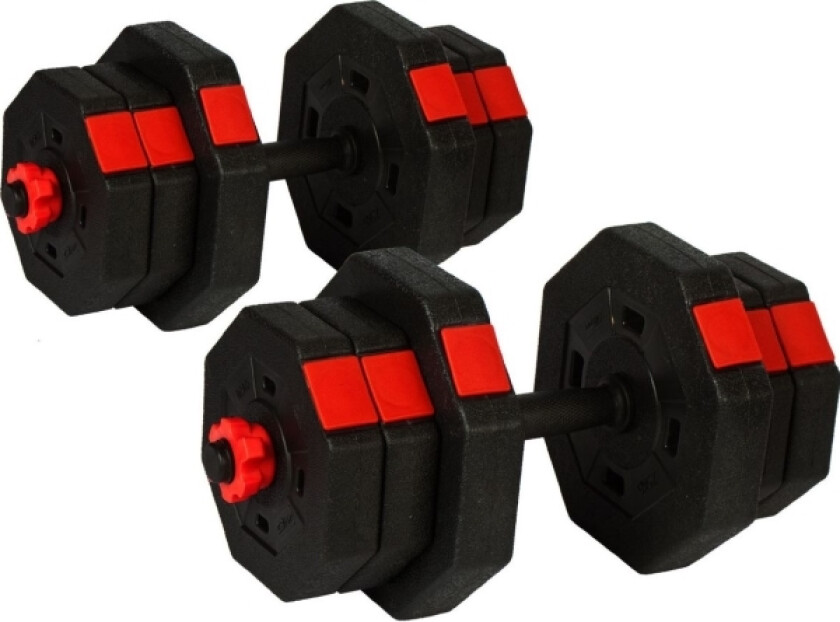 Dumbbell Eb Fit bituminous 2 x 10 kg