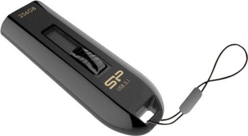 Blaze B21 - 256GB - Minnepenn