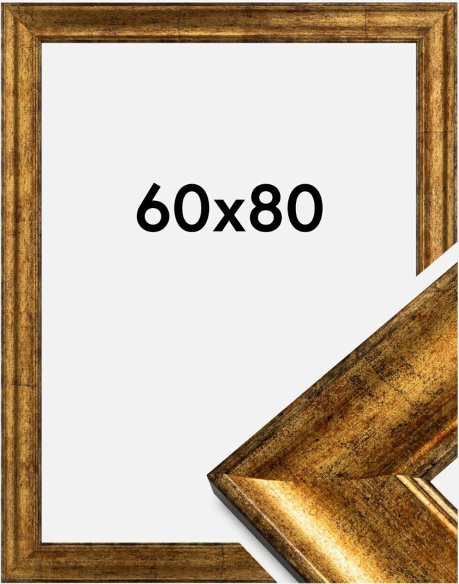 Ramme Saltsjöbaden Akrylglass Gull 60x80 Cm