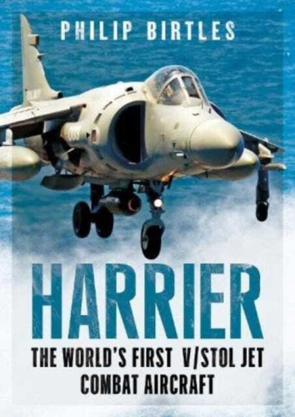 Harrier av Philip Birtles