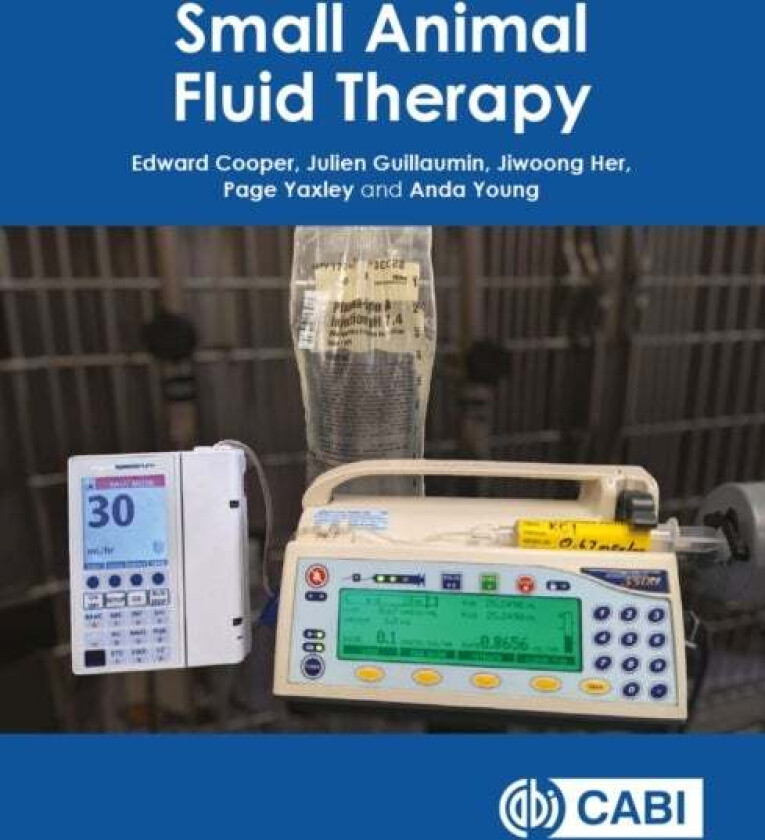 Small Animal Fluid Therapy av Julien Guillaumin, Page Yaxley, Jiwoong Her, Anda Young, Edward Cooper