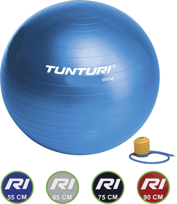 Bilde av Gymball 55cm