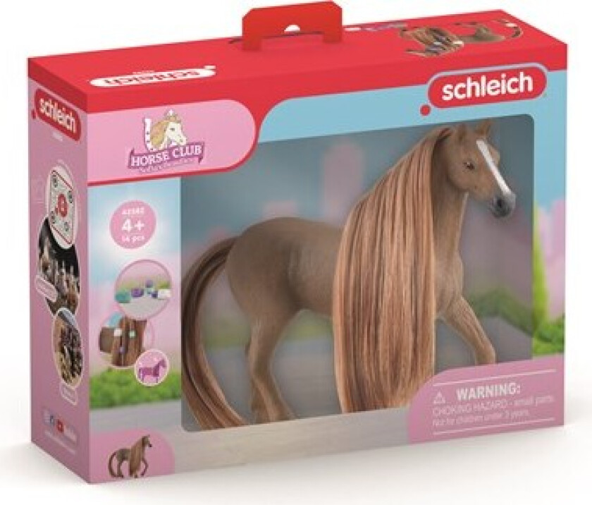 SB English Thoroughbred Hoppe