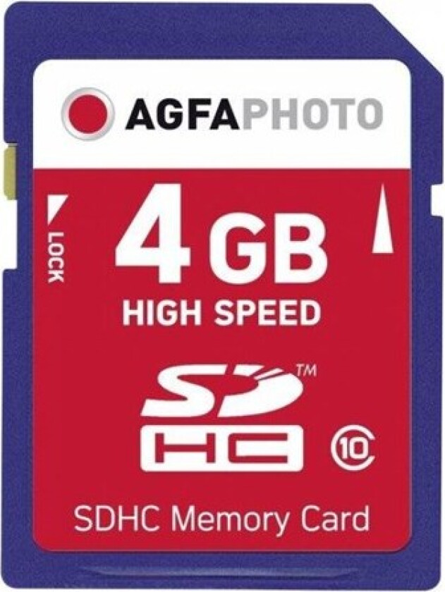 Photo - flash memory card - 4 GB - SDHC