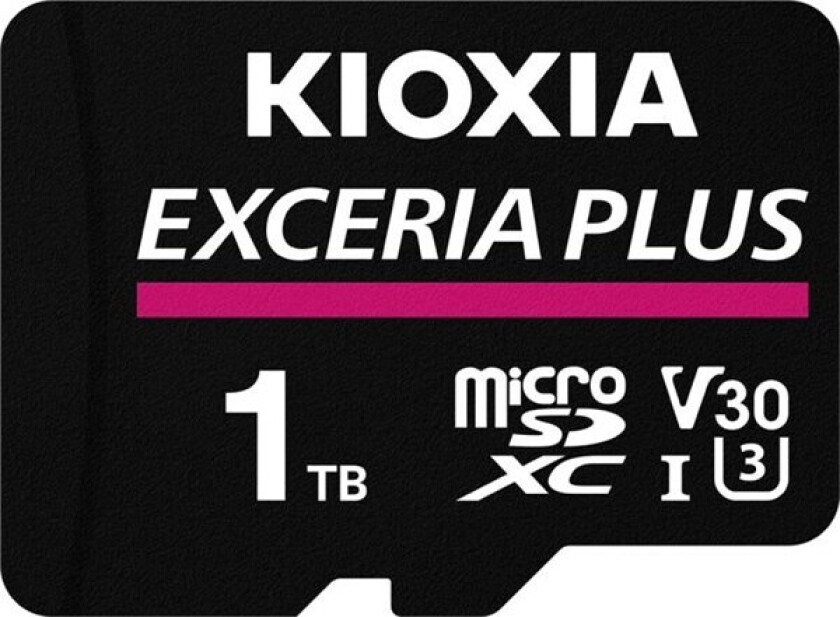 microSD Exceria Plus 1024GB