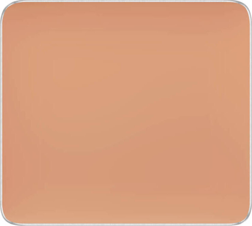 Freedom System Camouflage Concealer 111 2 g