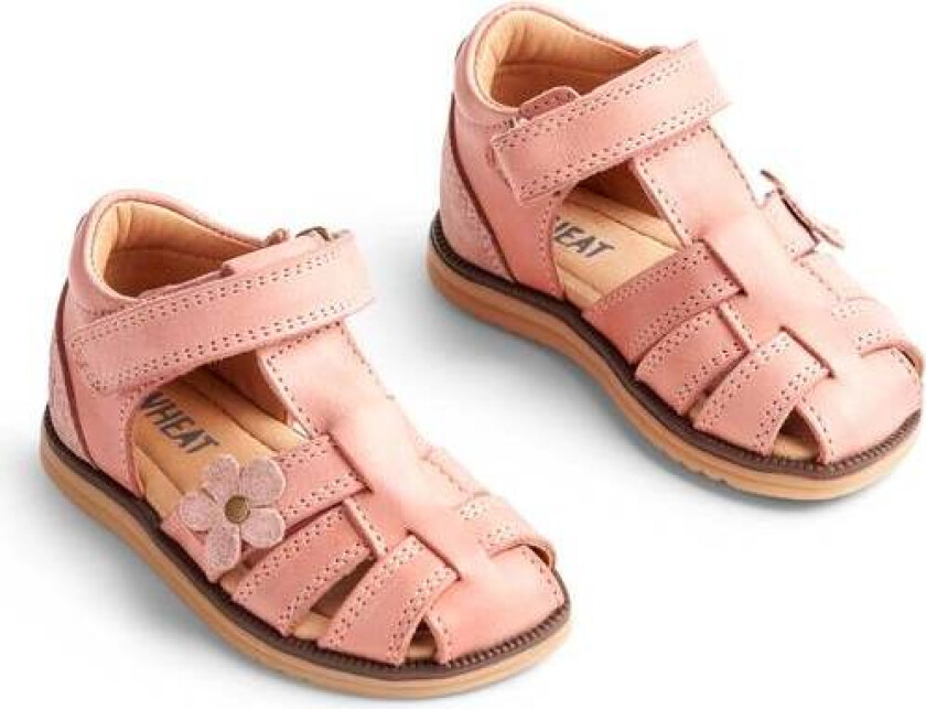 Wheat Sky Sandal Flower Rose