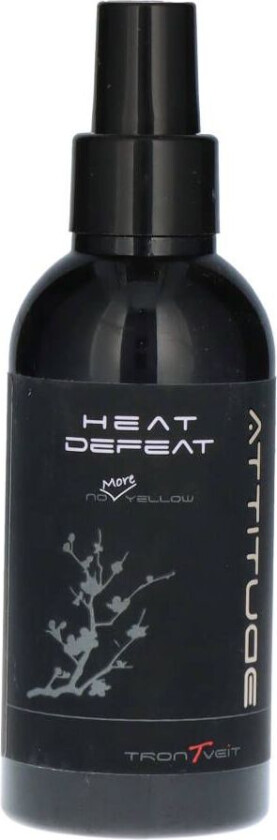 Heat Defeat Silver Heat Protection 150 ml