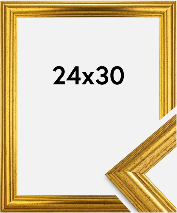 Ramme Västkusten Akrylglass Gull 24x30 Cm