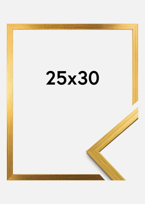Ramme Edsbyn Akrylglass Gull 25x30 Cm