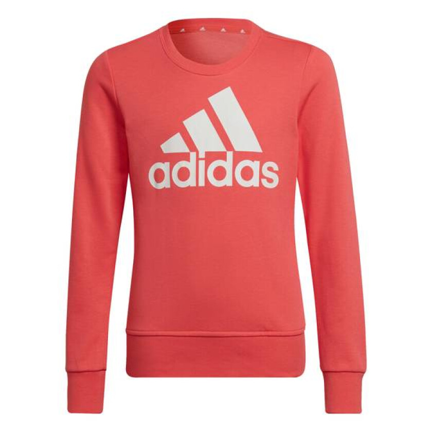 Girl BL Sweatshirt Genser Korall