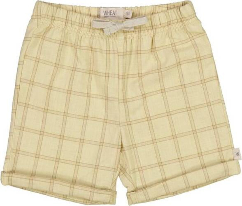 Shorts Milton Buttermilk Check