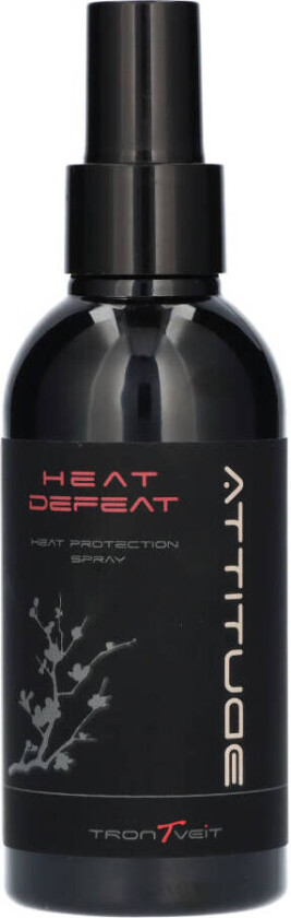 Heat Defeat Heat Protection Spray 150 ml