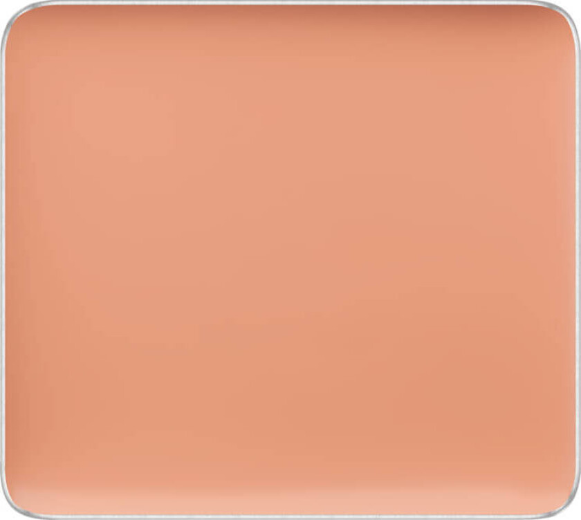 Freedom System Camouflage Concealer 103 2 g