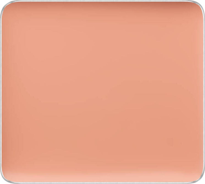 Freedom System Camouflage Concealer 123 2 g