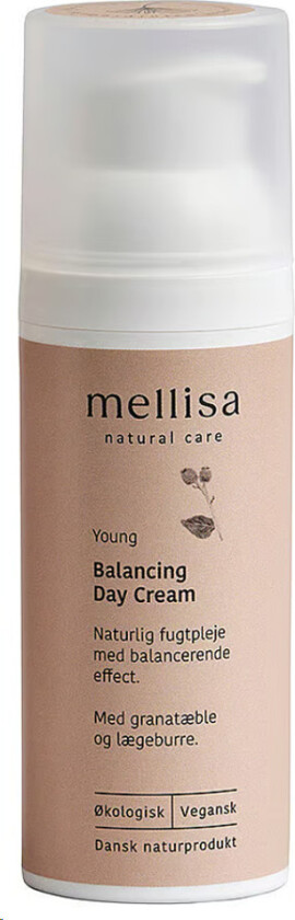 Balancing Day Cream - 50 ml