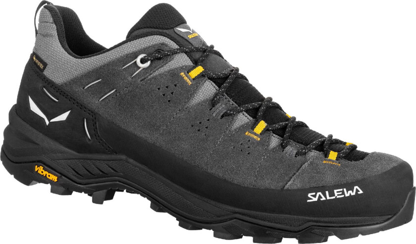 Alp Trainer 2 GTX M onyx/black