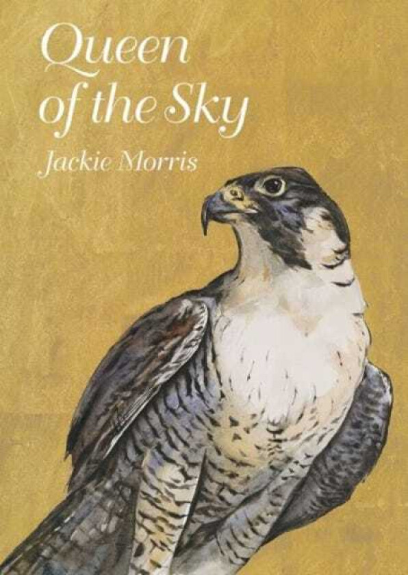 Queen of the Sky av Jackie Morris