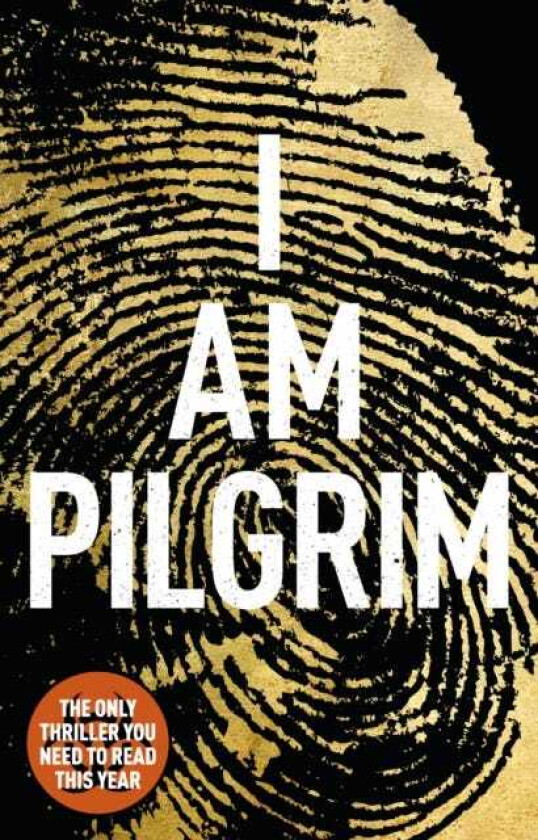 I am Pilgrim av Terry Hayes