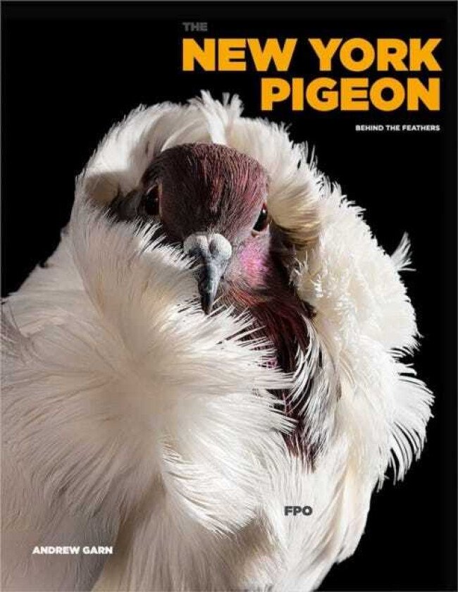 The New York Pigeon av Andrew Garn