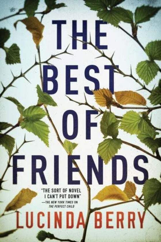 The Best of Friends av Lucinda Berry