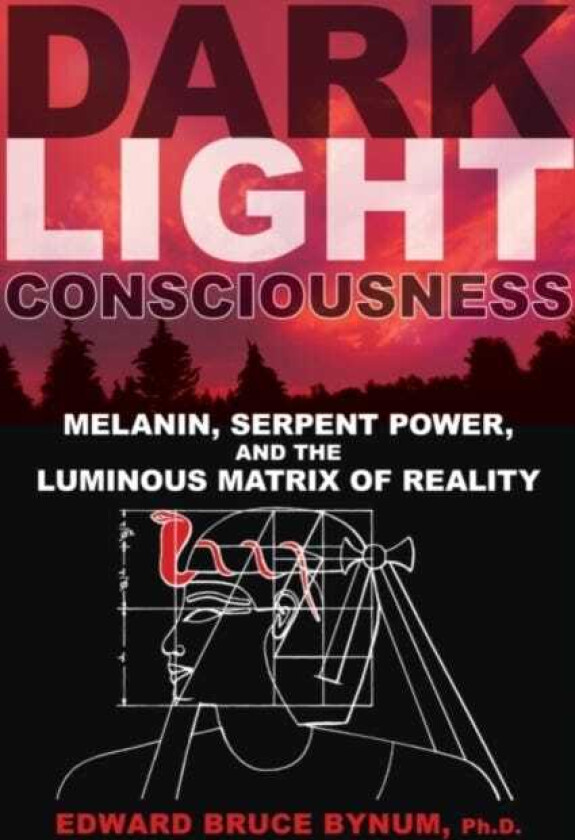 Dark Light Consciousness av Ph.D. Edward Bruce Bynum