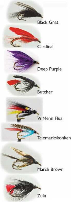 Bilde av Wet Fly dobbelkrok ørretfluer - 8 pk