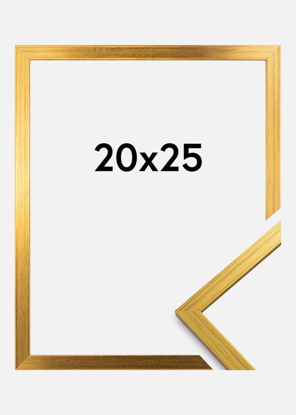 Ramme Edsbyn Gull 20x25 Cm