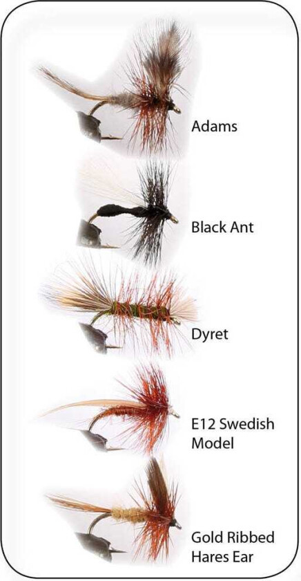 Bilde av Dry Fly 2 tørrfluer - 5 pk