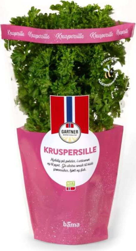 Kruspersille 6,5cm Potte Gartner