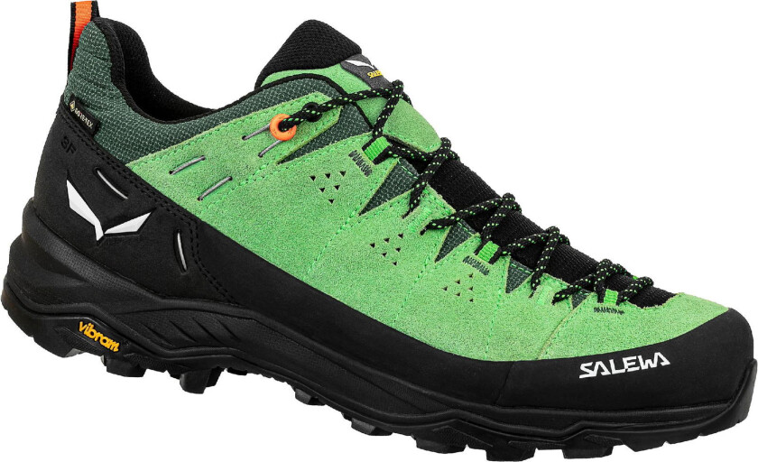 Alp Trainer 2 GTX M pale frog/black