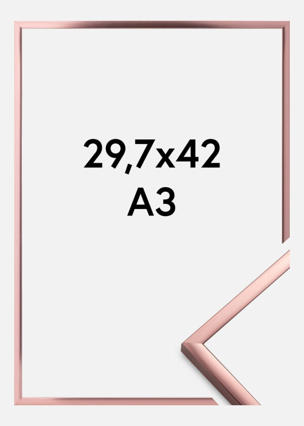 Ramme Poster Aluminum Roségull 29,7x42 Cm (A3)