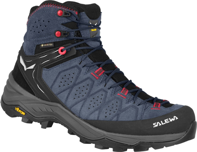 WS Alp Trainer 2 Mid GTX java blue