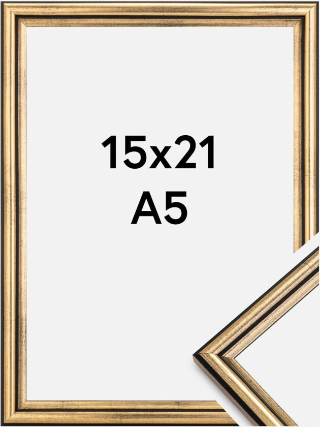 Ramme Horndal Gull 15x21 Cm (A5)