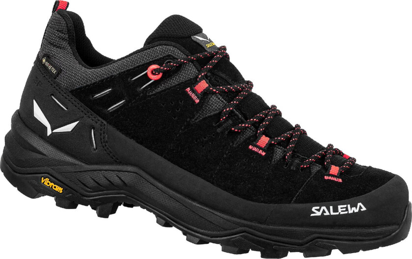 Alp Trainer 2 GTX W black/onyx