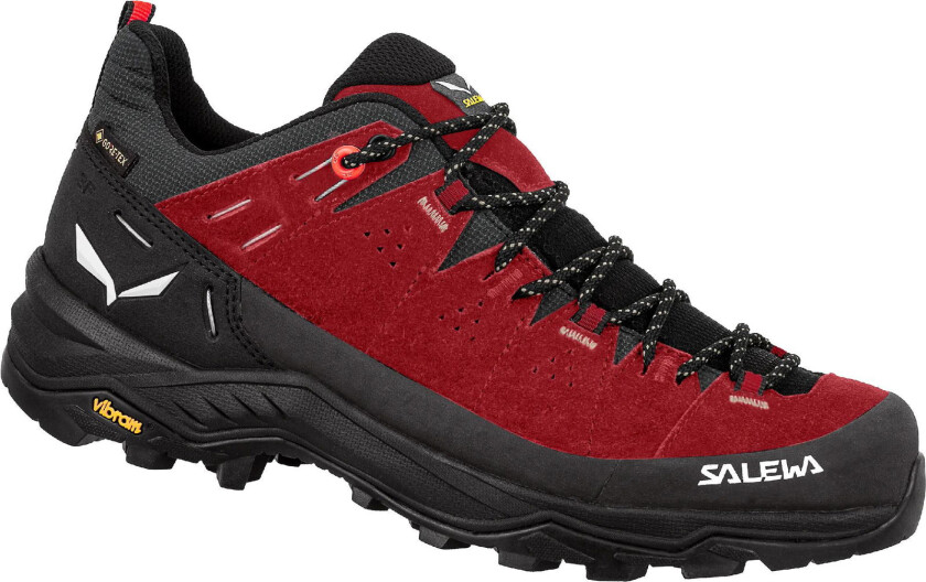 Alp Trainer 2 GTX W syrah