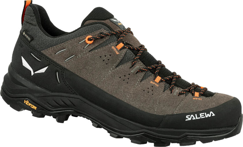 Alp Trainer 2 GTX M bungee cord/black