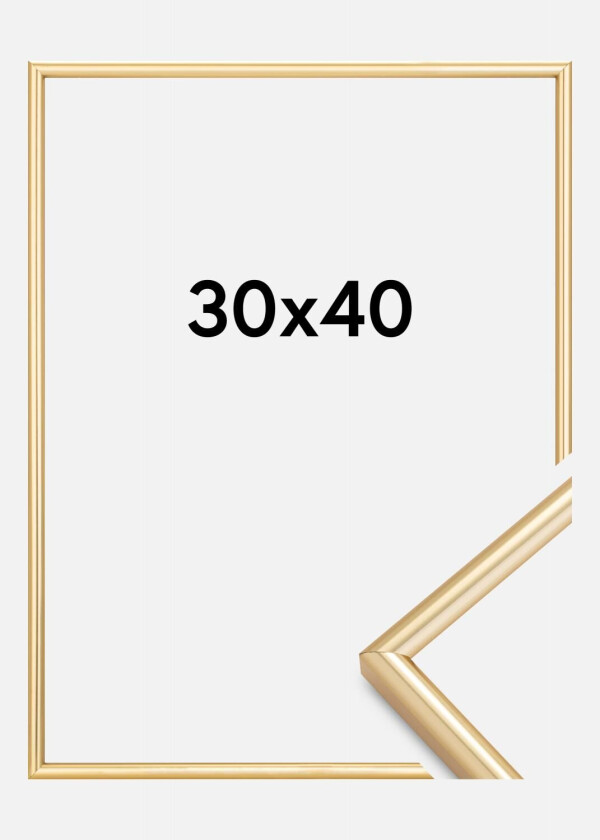 Ramme Galeria Gull 30x40 Cm