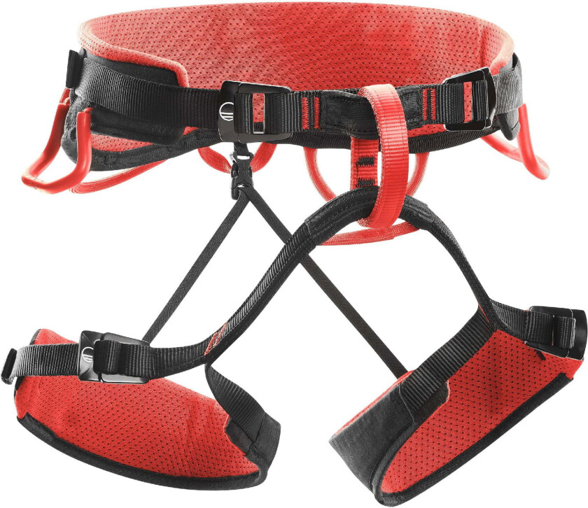 Bilde av Syncro harness