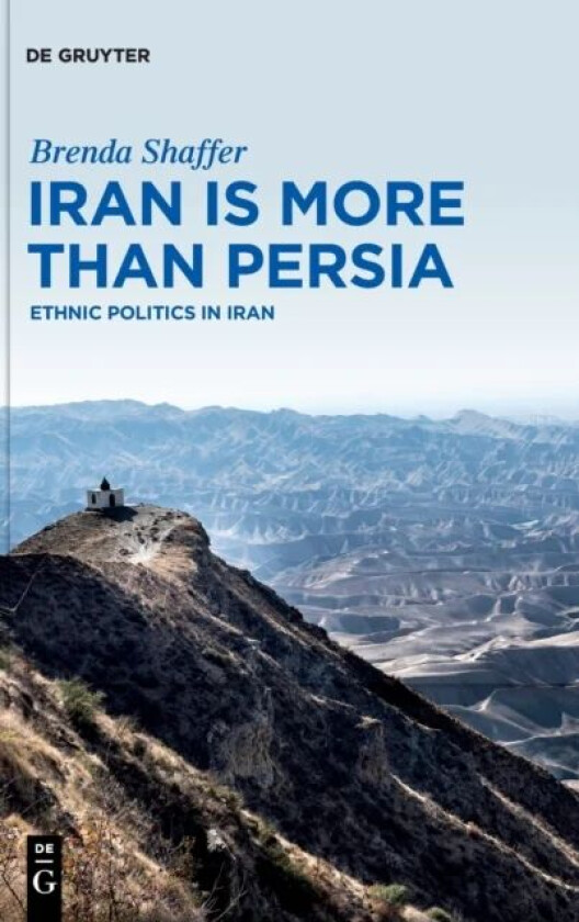 Iran is More Than Persia av Brenda Shaffer
