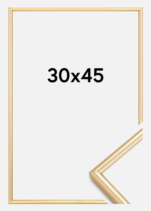 Ramme Galeria Gull 30x45 Cm