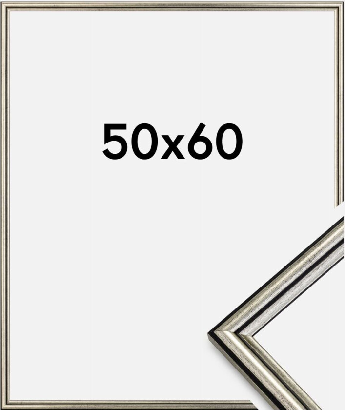 Ramme Horndal Sølv 50x60 Cm