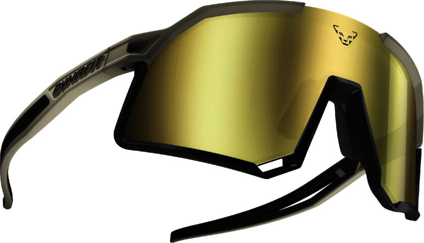 Dynafit Trail Evo Sunglasses