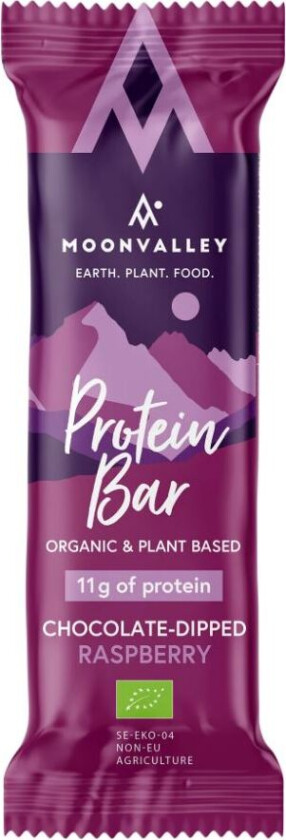 Protein Bar Raspberry